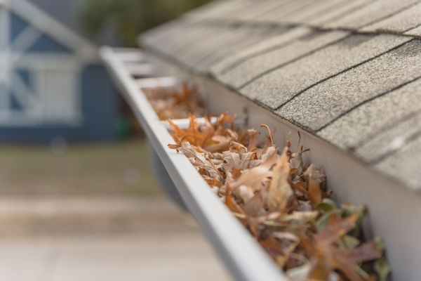 Leaf Barrier Installation in Beaufort